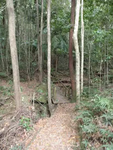 Small bridge on Waterman walk