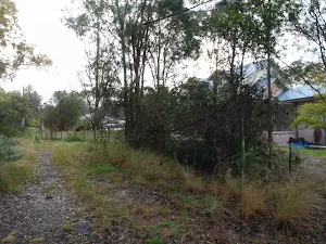 Track up to Sassafras Gully Rd