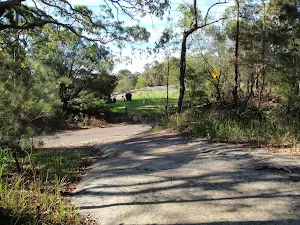 Rock platform at the start of split rock trail