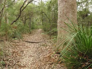 walking along Graves Walk