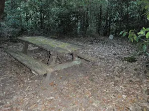 Palona Brook Picnic area