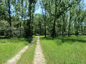 The old Ten Mile Hollow Rd 