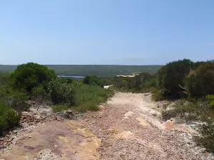 Track down to marley Beach