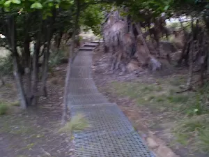 The metal footpath behind Burning Palms Beach