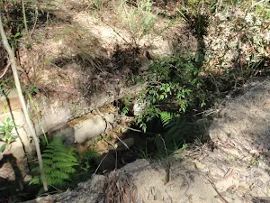 Foundations possibly of the Ten Mile Hollow Inn