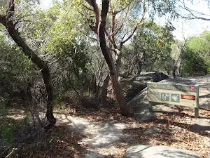 Warning signs on the Bluff track