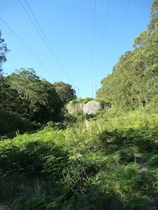 Following The Great North Walk to Yuelarbah Management Trail
