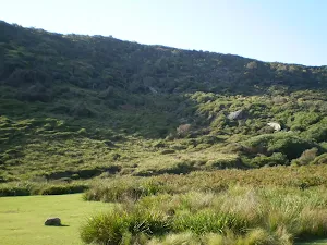 Clearing east of Garie Beach