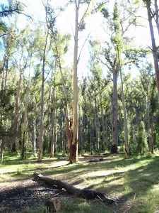 Acacia Flats Camping Area