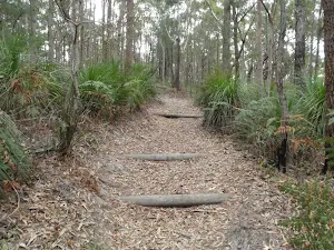 North of Erina Trig
