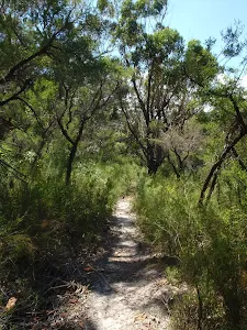 winding through the bush 