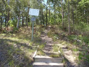Track behind Sandringham Cl