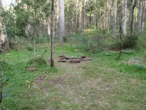 One of many campsites on the Grose River