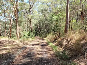 Green Point water reservoir driveway