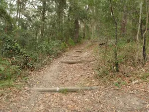 Graves Walk