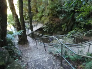 Echo Point to Leura Cascades