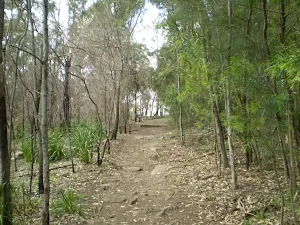Following the Great North Walk