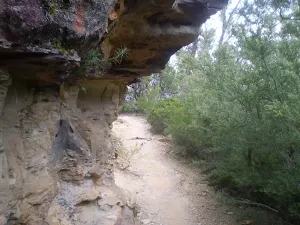 Track under rock overhang