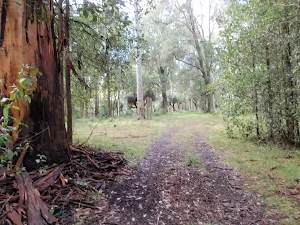 nearing the Berraba campsite