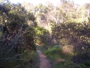 Just south of Wilson Park
