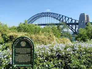 Dr Mary Booth Lookout