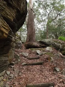 Track passing beside large rock
