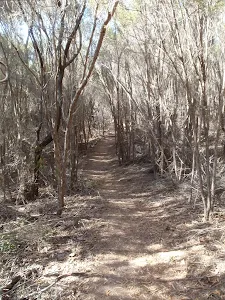 Track south of Kianiny lookout