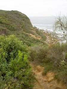 Bouddi Coastal Walk to Caves Bay