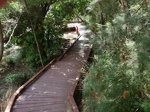 Boardwalk to Camp Curlew