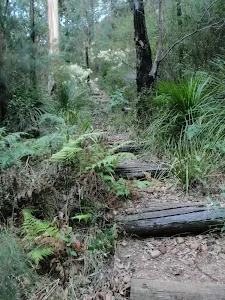 Jack Evans Track