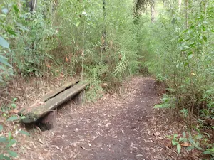 Bench beside Campfire Ck Trk