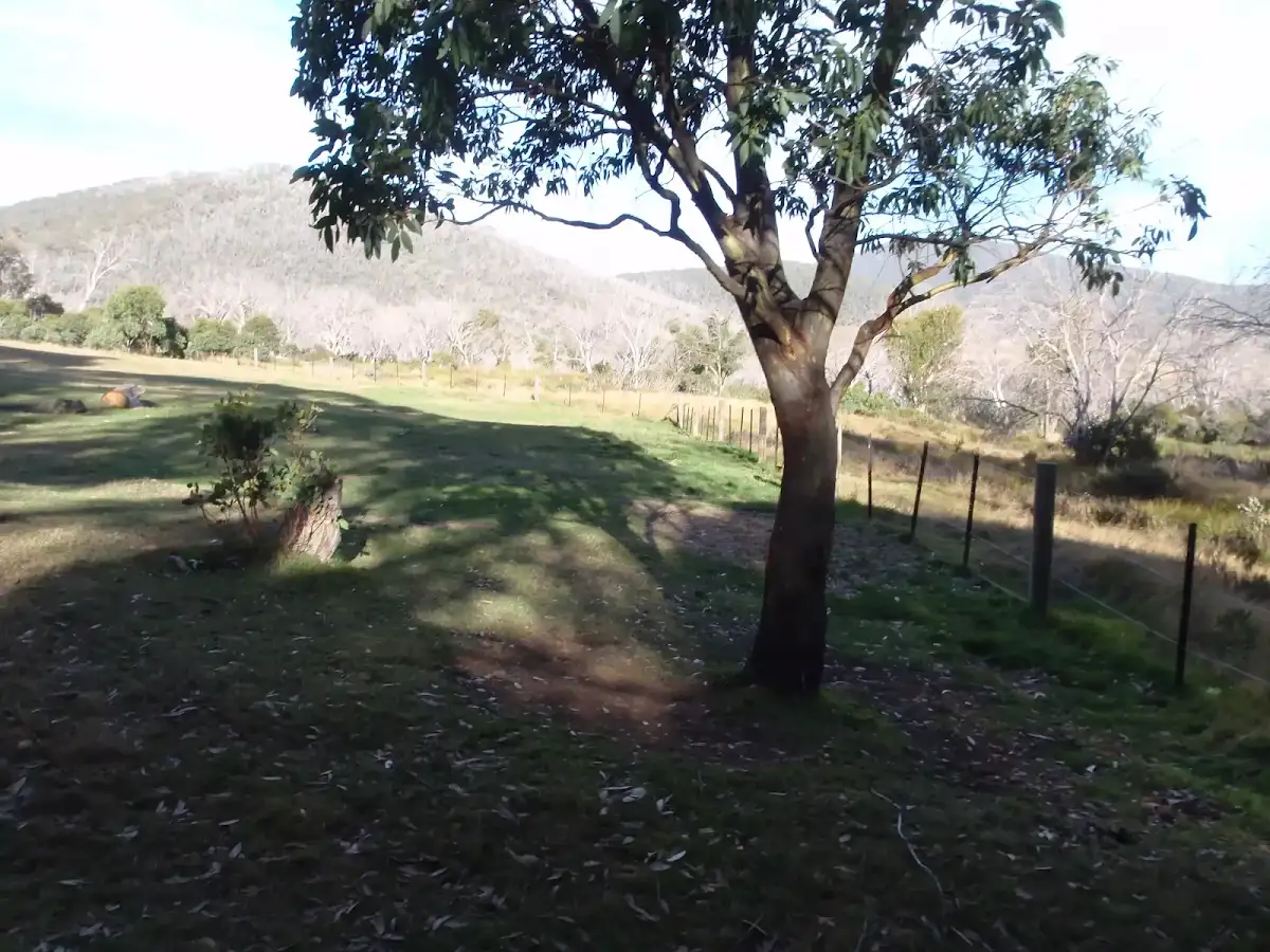 Rocky Plain Camping Ground