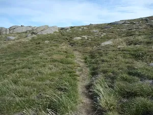 Mt Stilwell summit Track