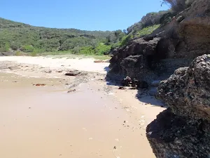 Snapper Point beach