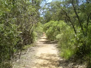 The Nature Track