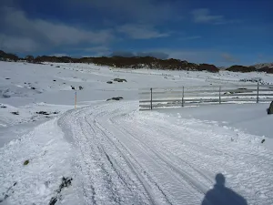 Oversnow vehicle trail