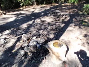 Rocky Creek Campsite