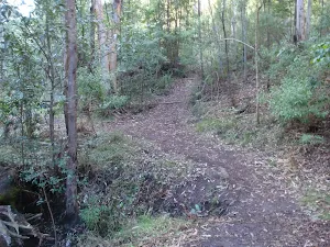 A fork in the track