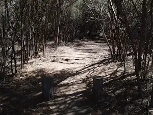 Track to Bournda Lagoon