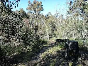 Walking along the waterfall track