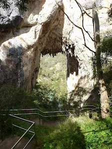 Carlotta Arch