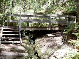 Maitland Bay Track bridge