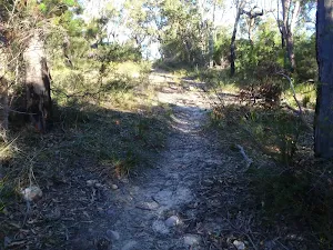Meandering along Topham track