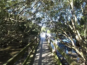 Salt Pan Creek boardwalk