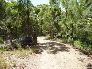 Trail near Murrays Beach on a sunny day