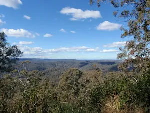 Looking through the trees east of Mt Warrawolong