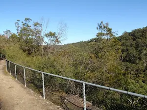 Elouera Lookout