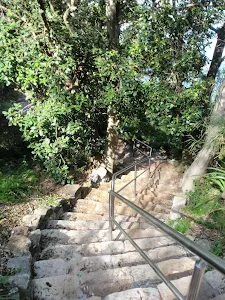 Steps and railing at Steele Point