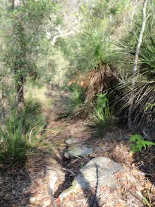 Defile Track