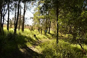 Rainforest walk to Riverside Park